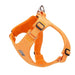 Adjustable Eco - friendly Recycled Pet Harness