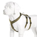 Double - h Nylon Reflective Dog Harness