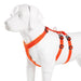 Double - h Nylon Reflective Dog Harness