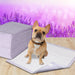 100x Pet Dog Toilet Training Pad Puppy Potty Pee Mat Super