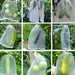 10pcs Nylon Net Bag Orchard Farmland Melon Fruit Fly Bird