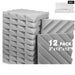 12 Pack Acoustic Panels Sound Proof Foam Wall Soundproofing