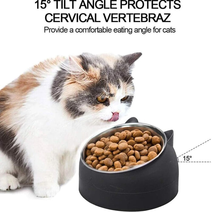 15° Tilted Removable Non - spill Water Food Pet Feeder