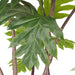 2x 150cm Artificial Natural Green Split-leaf Philodendron