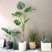 4x 175cm Green Artificial Indoor Turtle Back Tree Fake Fern
