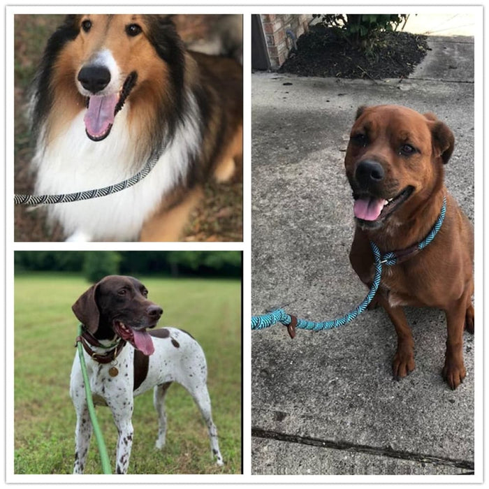 2 in 1 Durable Comfortable Adjustable Loop Pet Harness