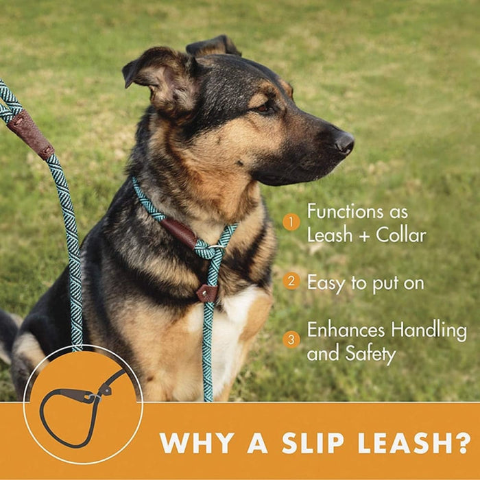 2 in 1 Durable Comfortable Adjustable Loop Pet Harness