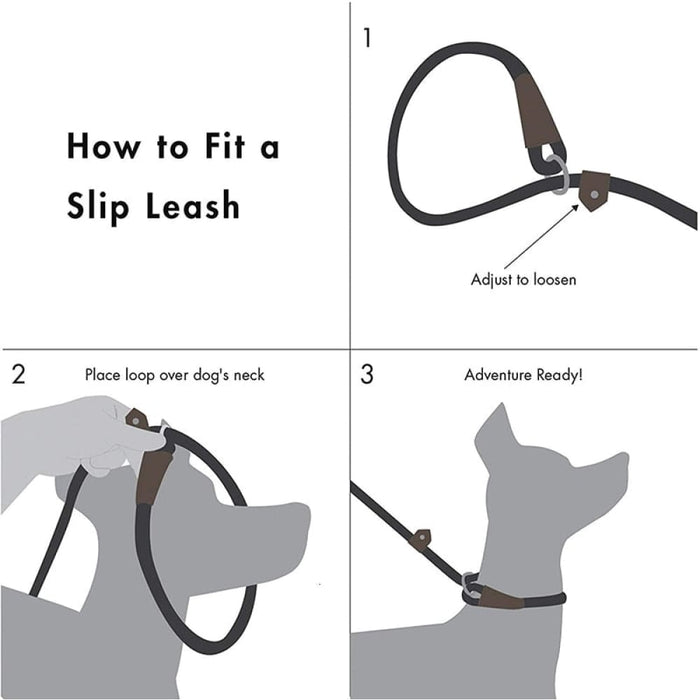 2 In 1 Durable Comfortable Adjustable Loop Pet Harness