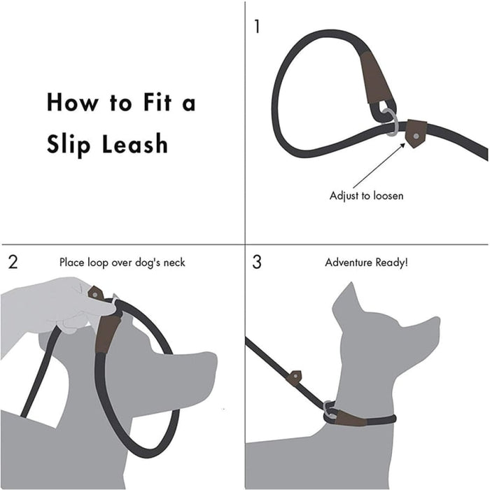 2 in 1 Durable Comfortable Adjustable Loop Pet Harness