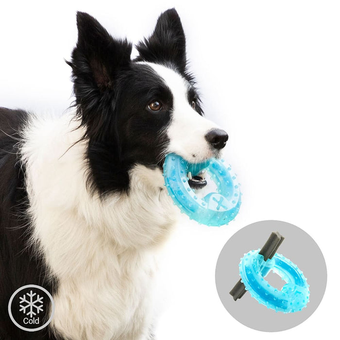 2-in-1 Freezable Pet Chew Toy Glubiz Innovagoods