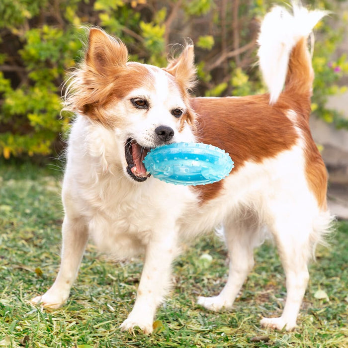 2-in-1 Freezable Pet Chew Toy Glubiz Innovagoods