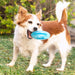 2-in-1 Freezable Pet Chew Toy Glubiz Innovagoods