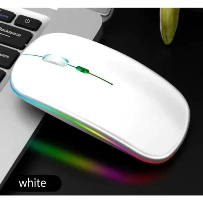 2.4g Rechargeable Wireless Gaming Mouse Portable Ergonomic