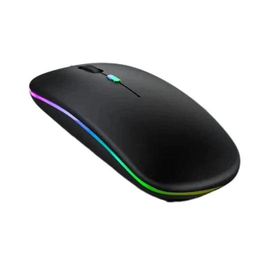 2.4g Rechargeable Wireless Gaming Mouse Portable Ergonomic