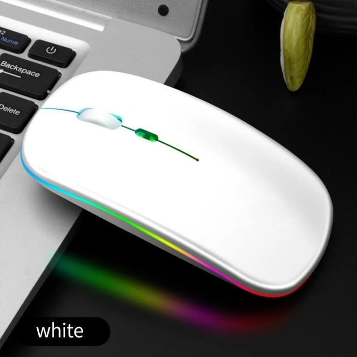 2.4g Rechargeable Wireless Gaming Mouse Portable Ergonomic
