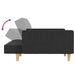 2-seater Sofa Bed with Two Pillows Dark Grey Fabric Tipnbb