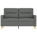 2-seater Sofa Dark Grey 120 Cm Fabric Tpkxxn