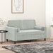 2-seater Sofa With Throw Pillows Light Grey 120 Cm Velvet