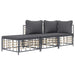 3 Piece Garden Lounge Set with Cushions Anthracite Poly