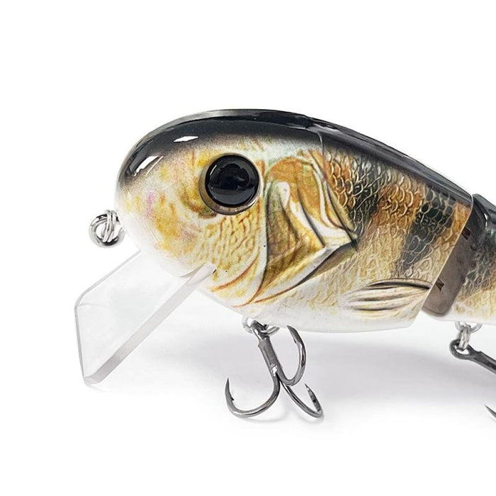 3 Section Bionic Fish Tongue Plate For Freshwater And Sea