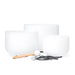 Set of 3pcs 8’a 10’f 12’c Note Quartz Crystal Singing Bowl