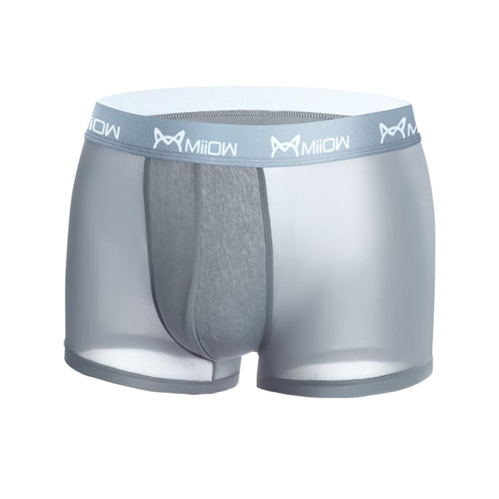 3pcs Men Underwear Boxer Underpants Comfort Transparent