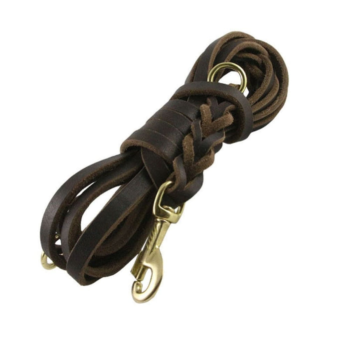 4.7m Braided Leather Dog Leash