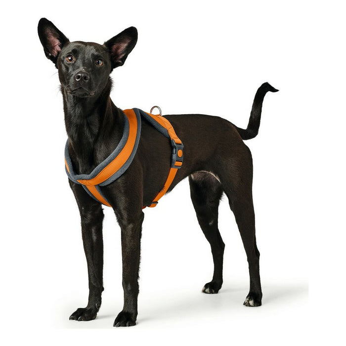 Dog Harness By Hunter London Comfort Orange S M