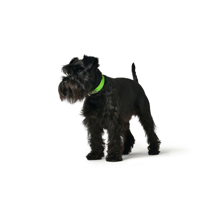 Dog Collar By Hunter Convenience Green XsS