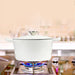 Goslash Picks 4l Enamel Dutch Oven Pot in White Colour