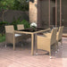 5 Piece Garden Dining Set Poly Rattan and Tempered Glass