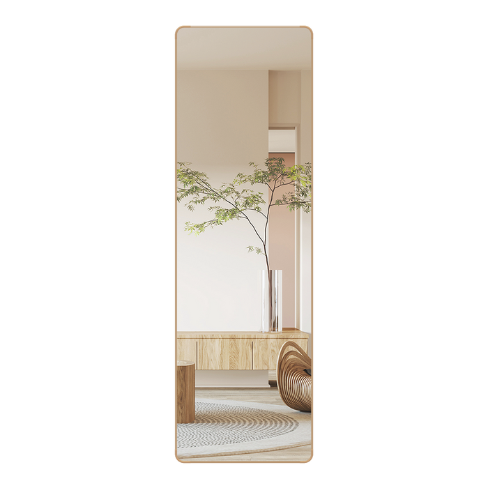 120Cm Wall Mounted Full Length Mirror Door Hanging