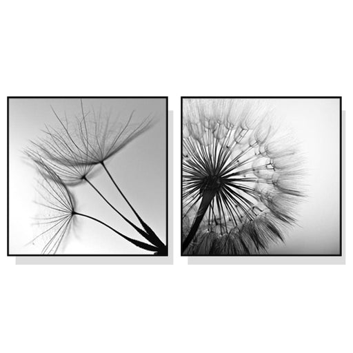 50cmx50cm Black and White Dandelion 2 Sets Frame Canvas