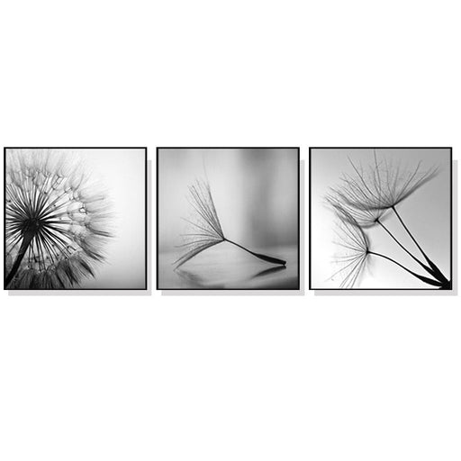 50cmx50cm Botanical Dandelions 3 Sets Black Frame Canvas
