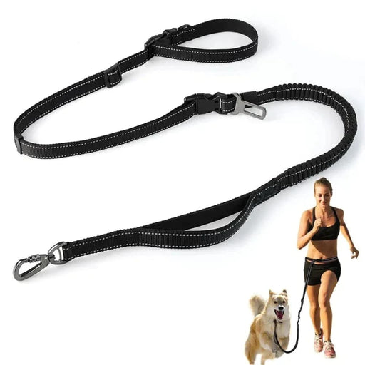 6 In 1 Hands Free Dog Leash Durable Bungee Pet Lead