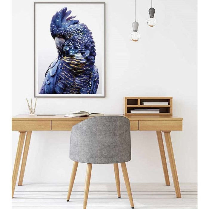 70cmx100cm Black Cockatoo a Frame Canvas Wall Art