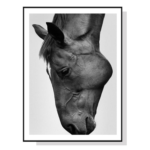 70cmx100cm Modern Black Horse Frame Canvas Wall Art