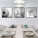 70cmx70cm Botanical Dandelions 3 Sets Black Frame Canvas