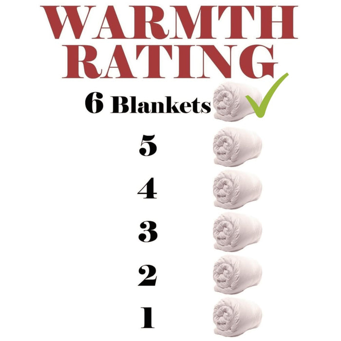 80% Goose All Seasons Quilt - Super King