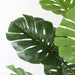 2x 80cm Artificial Indoor Potted Turtle Back Fake Decoration
