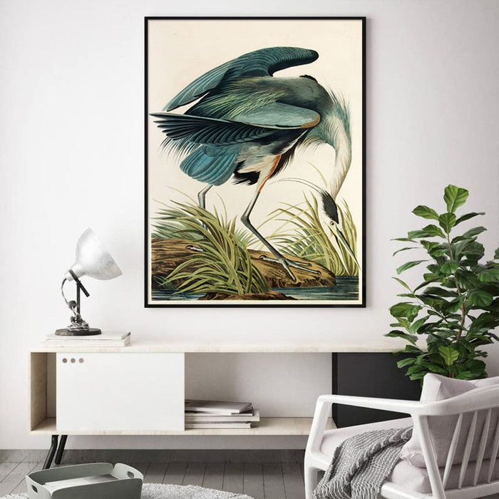 80cmx120cm Great Blue Heron by John James Audubon Black