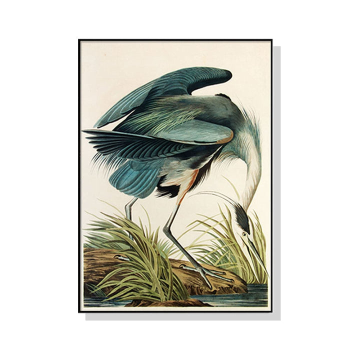 80cmx120cm Great Blue Heron by John James Audubon Black