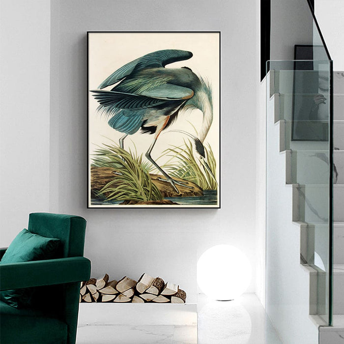 80cmx120cm Great Blue Heron by John James Audubon Black