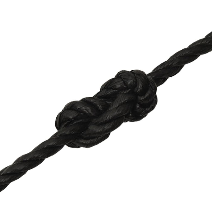 Work Rope Black 10 Mm 100 M Polypropylene Optbot