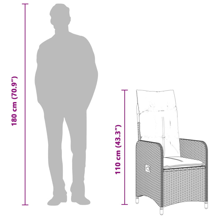 Reclining Garden Chairs 2 Pcs With Cushions Black Poly Rattan Tlplnp