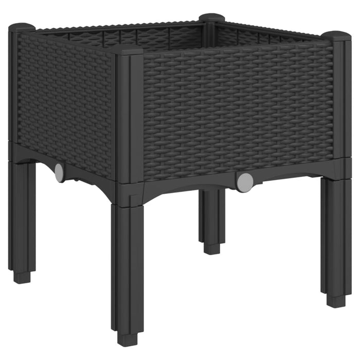 Garden Planter With Legs Black 40X40X42 Cm Pp Tlinnn