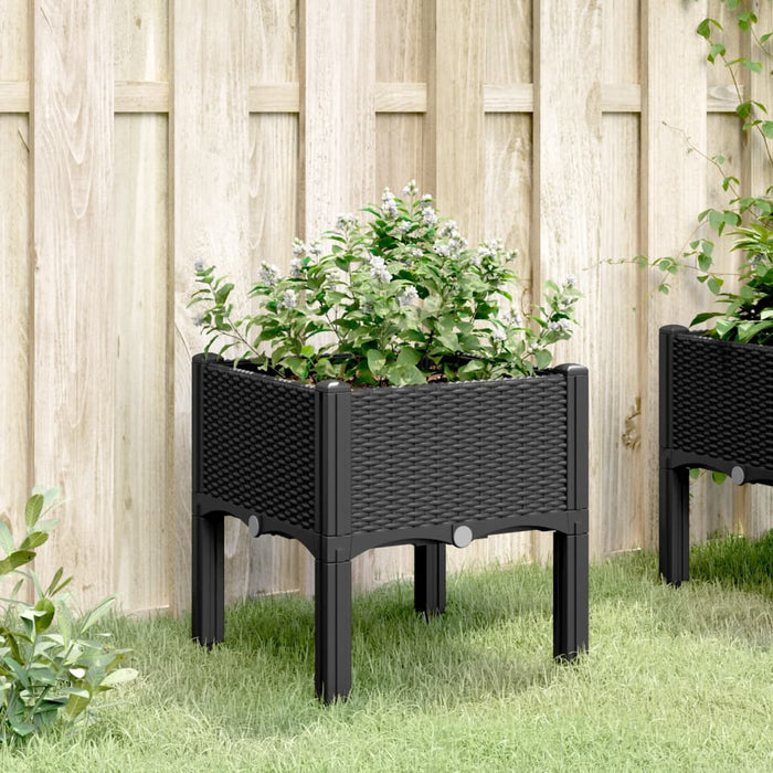 Garden Planter With Legs Black 40X40X42 Cm Pp Tlinnn