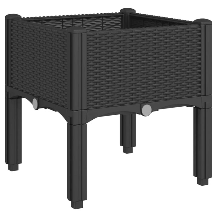 Garden Planter With Legs Black 40X40X42 Cm Pp Tlinnn