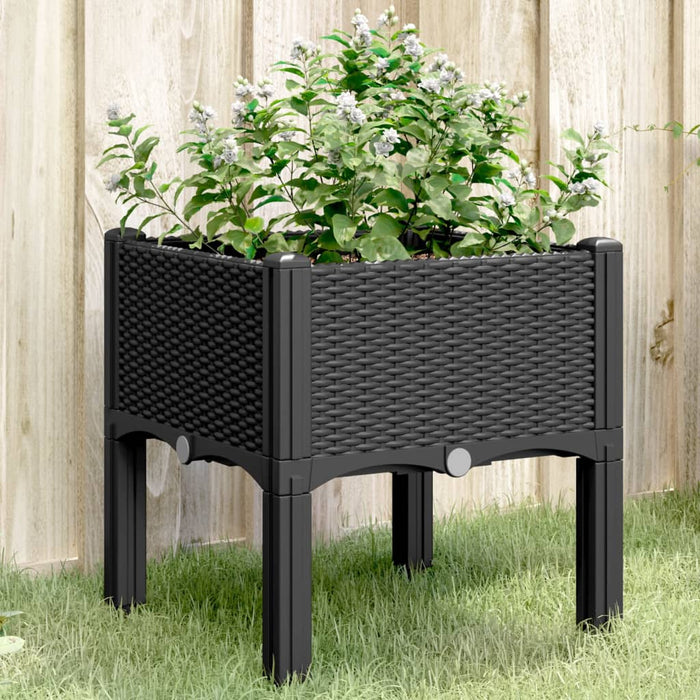 Garden Planter With Legs Black 40X40X42 Cm Pp Tlinnn