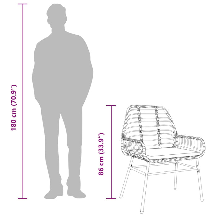 Garden Chairs 2 Pcs With Cushions Brown Poly Rattan Tlkbka